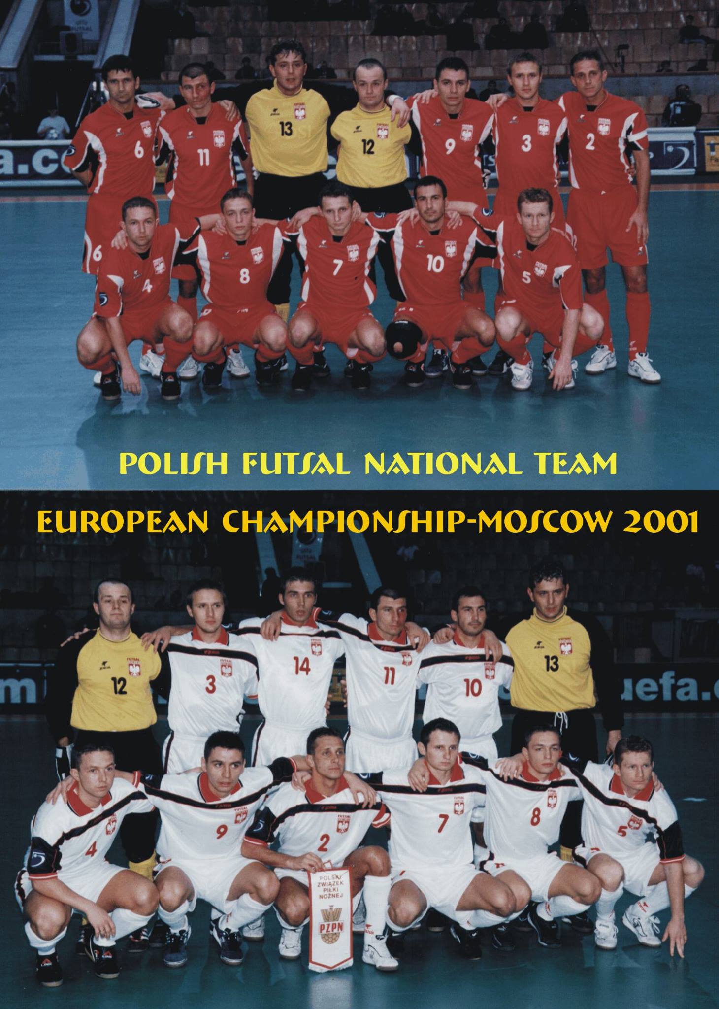 Збірна Польші на Євро-2001